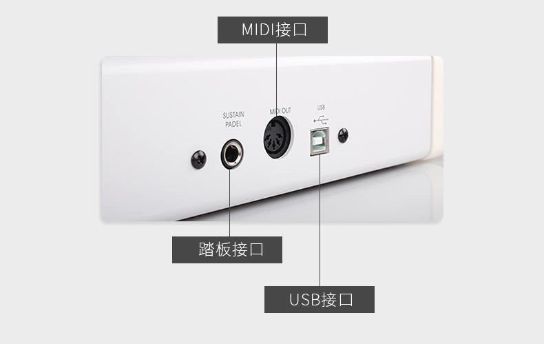 O1CN01sOGhMB1mu056LkqEX_!!80935013.jpg